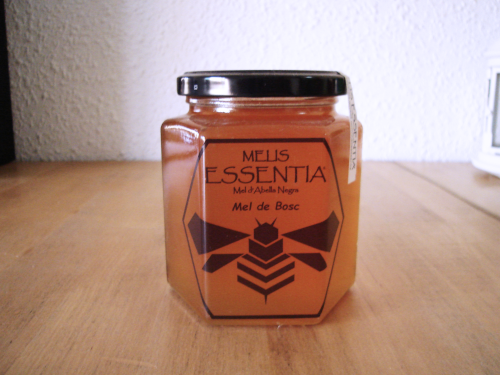 Miel artesanal de abejas negras de bosque 500 g Bote de miel natural de abejas negras de bosque 500g